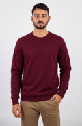 SUDADERA CUELLO REDONDO KOTA-HOODIE-00/ FELPA PREMIUM